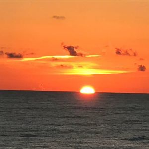 Meet your Posher, Olga